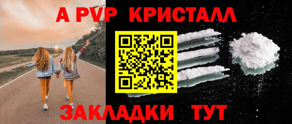 Альфа ПВП СК КРИС Владикавказ